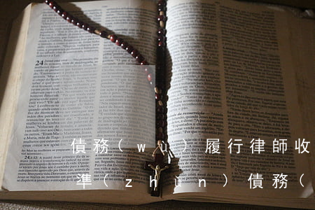 債務(wù)履行律師收費標(biāo)準(zhǔn)(債務(wù)律師怎么收費標(biāo)準(zhǔn))