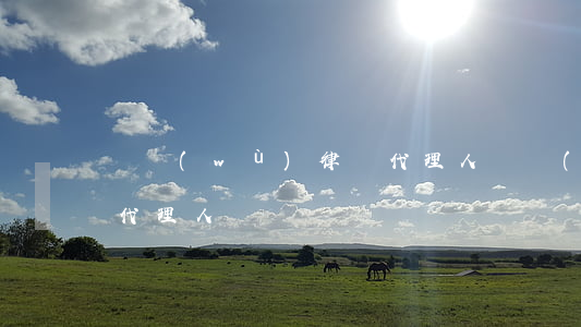 債務(wù)律師代理人(債務(wù)律師代理人)