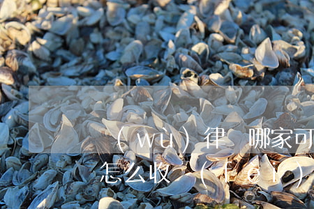 債務(wù)律師哪家可靠 債務(wù)律師怎么收費(fèi)標(biāo)準(zhǔn)
