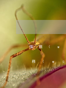 債務(wù)律師所費(fèi)用多少(債務(wù)糾紛律師費(fèi)用收取標(biāo)準(zhǔn)2021)