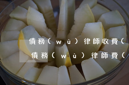 債務(wù)律師收費(fèi)百分之5 債務(wù) 律師費(fèi)