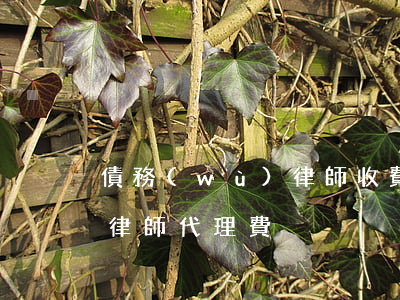 債務(wù)律師收費（溫州債務(wù)案律師代理費）