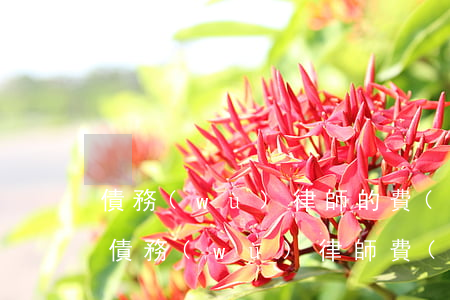 債務(wù)律師的費(fèi)用是多少(債務(wù)律師費(fèi)用收取標(biāo)準(zhǔn)2021)