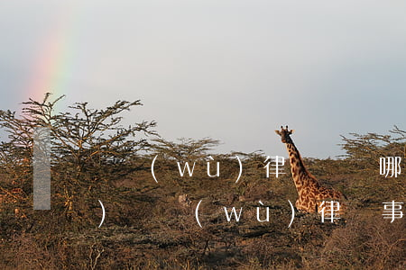 債務(wù)律師顧問哪家強(qiáng) 債務(wù)律師事務(wù)所免費(fèi)咨詢