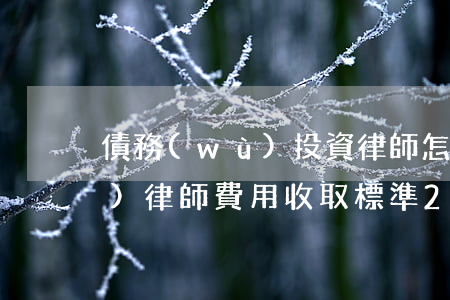債務(wù)投資律師怎么收費(債務(wù)律師費用收取標準2021)