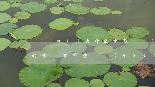 債務(wù)是什么意思債權(quán)的意義有哪些（債權(quán)的意義）