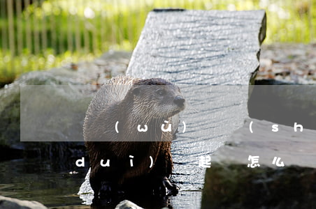 債務(wù)暫時(shí)無力償還對(duì)剛起訴怎么辦-債務(wù)暫時(shí)無力償還對(duì)剛起訴怎么辦有影響嗎