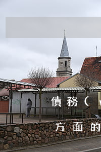 債務(wù)清償律師哪家好(債務(wù)方面的律師)