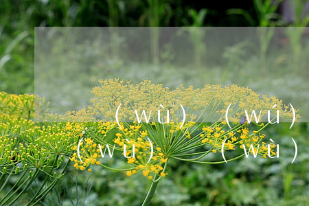 債務(wù)無(wú)力償還怎么做帳務(wù)（債務(wù)無(wú)力償還怎么做帳）