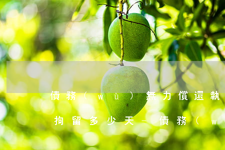 債務(wù)無力償還執(zhí)行局會拘留多少天-債務(wù)無力償還執(zhí)行局會拘留多少天呢