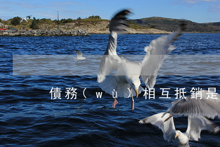 債務(wù)相互抵銷是否可以合并審理