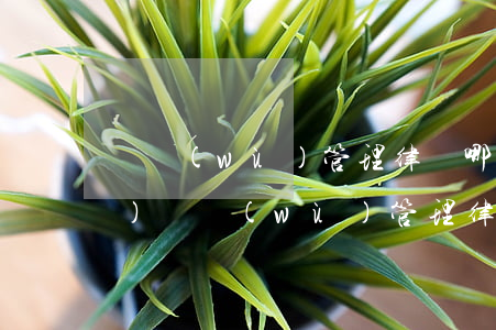 債務(wù)管理律師哪家強(qiáng)(債務(wù)管理律師哪家強(qiáng))