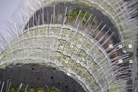債務(wù)糾紛可以在原告方法院起訴嗎(債務(wù)糾紛可以在原告所在地起訴嗎)