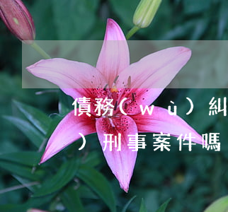 債務(wù)糾紛可以申請轉(zhuǎn)刑事案件嗎