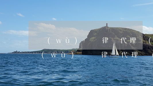 債務(wù)糾紛律師代理費(fèi)(債務(wù)糾紛律師代理費(fèi)收取標(biāo)準(zhǔn)2022年)