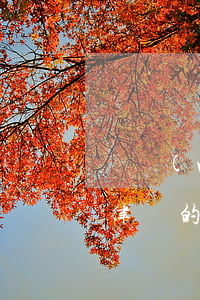 債務(wù)糾紛律師的 債務(wù)糾紛律師的