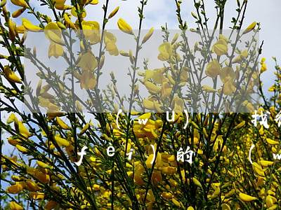 債務(wù)糾紛找律師一般是怎么收費(fèi)的（債務(wù)債權(quán)糾紛找律師）