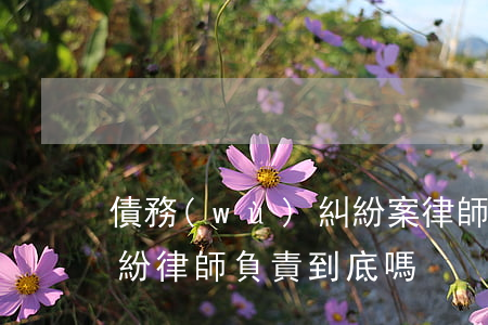 債務(wù)糾紛案律師-債務(wù)糾紛律師負責到底嗎