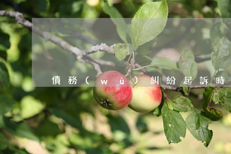 債務(wù)糾紛起訴時(shí)效
