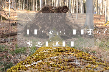 債務(wù)訴訟可以不請律師嗎(起訴要債需要請律師嗎)