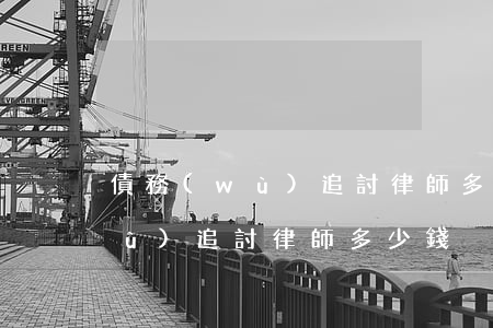 債務(wù)追討律師多少錢一次（債務(wù)追討律師多少錢）
