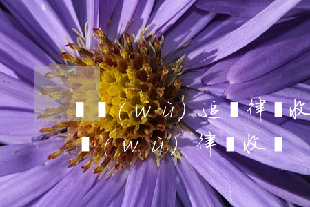 債務(wù)追討律師收費標準(追討個人債務(wù)律師收費)