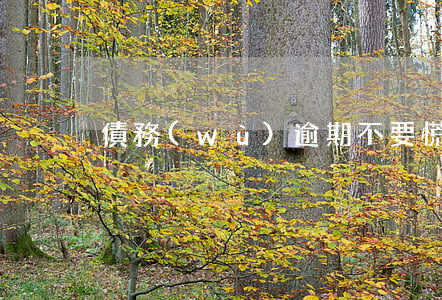 債務(wù)逾期不要慌