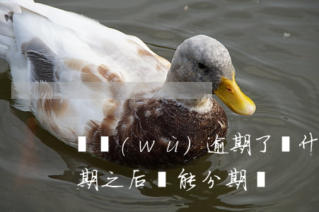 債務(wù)逾期了為什么不能再次分期(逾期之后還能分期嗎)