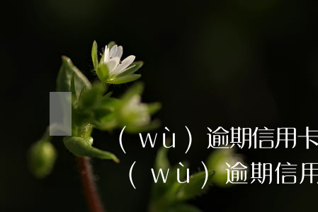 債務(wù)逾期信用卡網(wǎng)貸(債務(wù)逾期信用卡網(wǎng)貸怎么還)