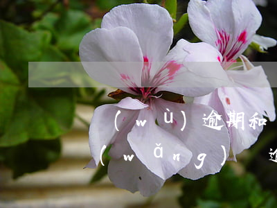 債務(wù)逾期和協(xié)商還款-網(wǎng)貸逾期還款怎么協(xié)商