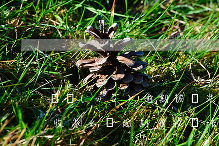 債務(wù)逾期被違法違規(guī)催收怎么辦(逾期催收違法嗎)