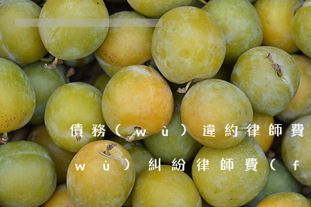 債務(wù)違約律師費(fèi)(債務(wù)糾紛律師費(fèi)收費(fèi)標(biāo)準(zhǔn))
