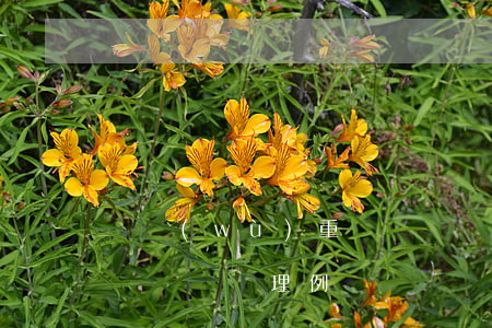 債務(wù)重組會計處理(債務(wù)重組會計處理例題)
