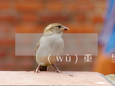 債務(wù)重組類型