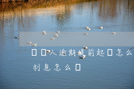 債務人逾期提前起訴怎么寫明(訴訟請求逾期利息怎么寫)