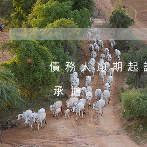 債務人逾期起訴費用(逾期被起訴的費用是誰承擔)