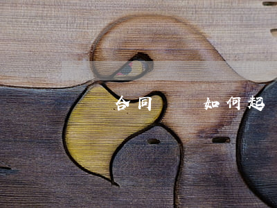債務合同糾紛如何起訴糾紛