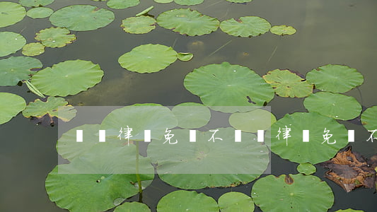 債務律師免費不(債務律師免費不)