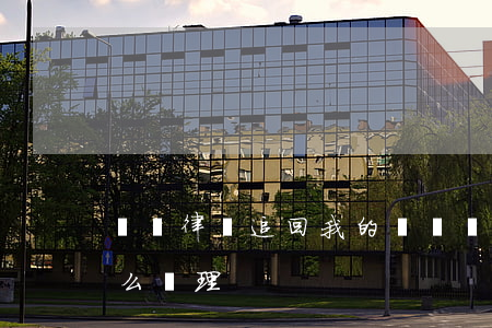 債務律師追回我的錢(債務律師追回我的錢怎么處理)