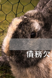 債務欠款律師哪家強(欠債糾紛律師)