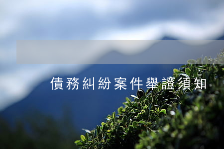 債務糾紛案件舉證須知