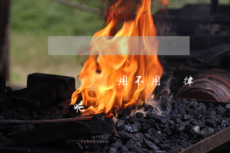 債務糾紛用不用請律師(債務糾紛用不用請律師呢)
