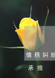 債務糾紛請律師費用(債務糾紛請律師費用誰承擔)