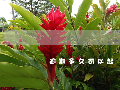 債務逾期多久可以起訴離婚(起訴離婚期間的債務)