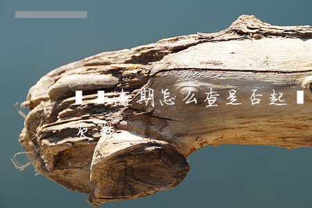 債務逾期怎么查是否起訴(怎樣查有沒有逾期欠款)