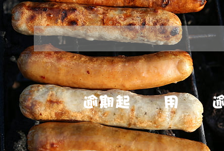 債務逾期起訴費用(債務逾期起訴費用)