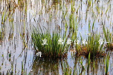 債務重組需要什么條件-債務重組需要什么條件