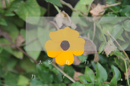 債太多實在無力償還(債務(wù)太多了無力償還了)