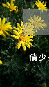 債少少信用卡逾期(欠多家銀行信用卡逾期)