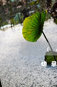 債權(quán)一定要及時(shí)主張切忌拖延